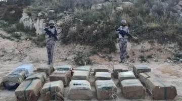 حرس الحدود بجازان يحبط محاولة تهريب 137 كيلو من الحشيش المخدر